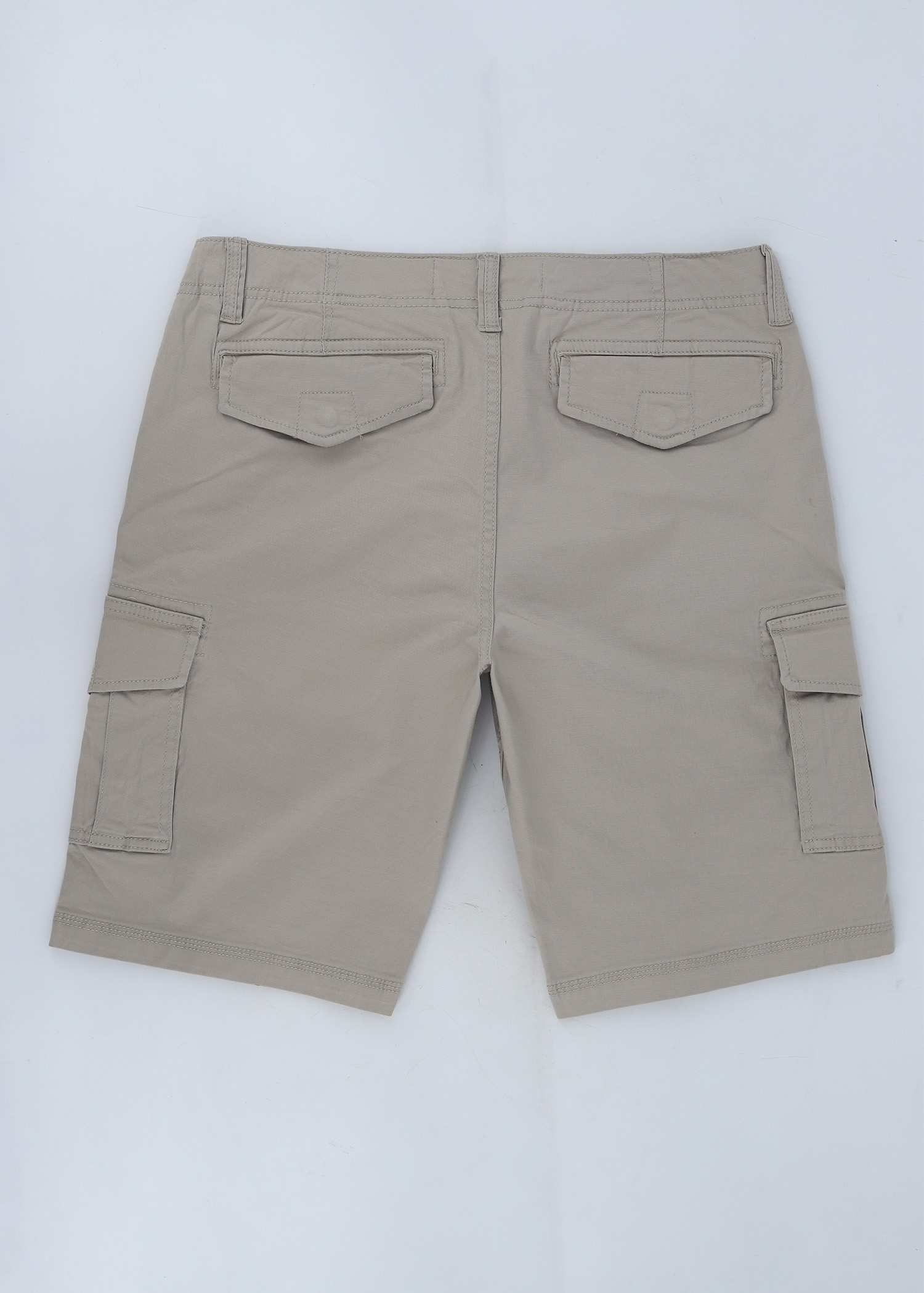 vulture ii cargo short sand color back view